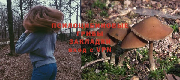 каннабис Арсеньев