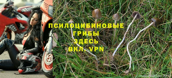 каннабис Арсеньев