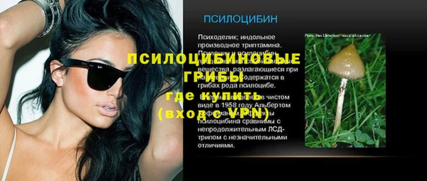 каннабис Арсеньев